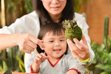 賞屋送好禮|賞屋禮、賞屋活動案例分享（盆栽）